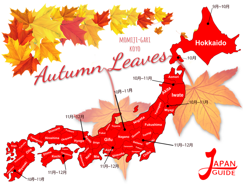 Autumn Leaves - Japan Guide